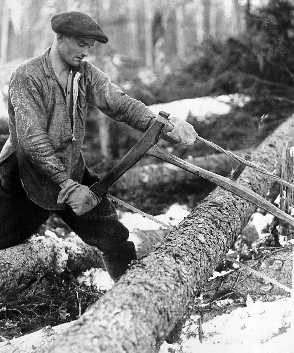 Black and white photo of man sawing a tree with a hand-saw.