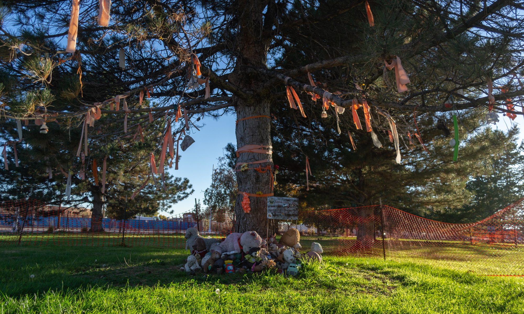 The author has taken a photo on 12 November 2023 of the site of the Albuquerque Indian School Cemetary. There are no visible graves, but we see a tree with orange ribbons attached to the branches and the trunk. Teddy bears have been placed around the foot of the tree.