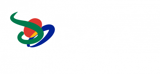 Digital Academies in Africa