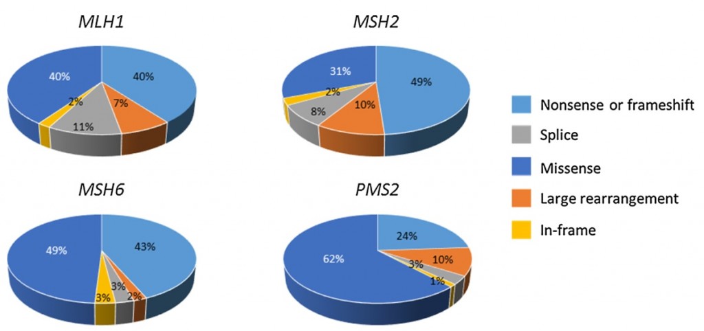 Fig. Distributions of the types of germline variants across each MMR gene (Peltomäki  P, Fam Cancer 2016).