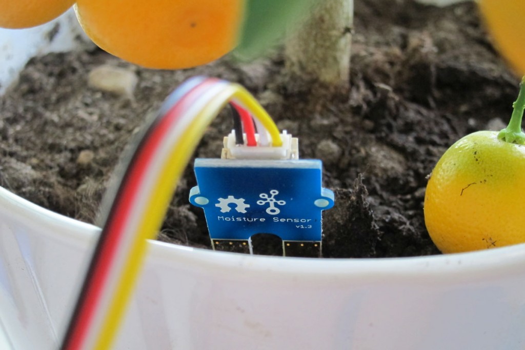 Current prototype uses Grove moisture sensor. 