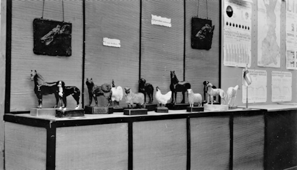 Ett svartvitt fotografi av en utställning. På bordet står olika små statyer av husdjur, och på väggen bakom bordet hänger reliefer av en ko och en tjur samt bilder.