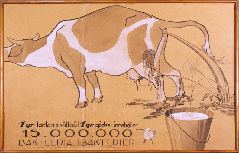 En teckning av en ko som tömmer tarmen eller urinerar. Mulen hamnar lite utanför bildens vänstra kant. Gödsel skvätter på kons ben, i mjölkämbaret och på väggarna. Bilden har texten: 1 g lantaa sisältää 15.000.000 bakteeria och på svenska 1 gr gödsel innehåller 15.000.000 bakterier.