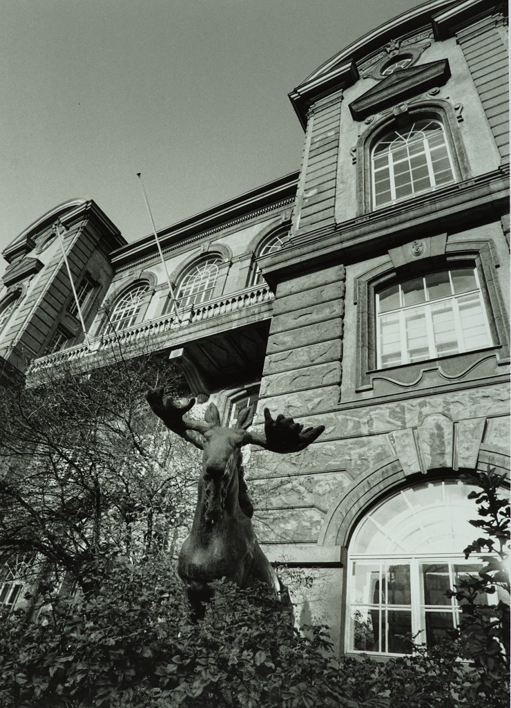 A black-and-white photo taken from below of the façade of a museum building. At the front are leaved shrubs as well as an antlered elk sculpture. 