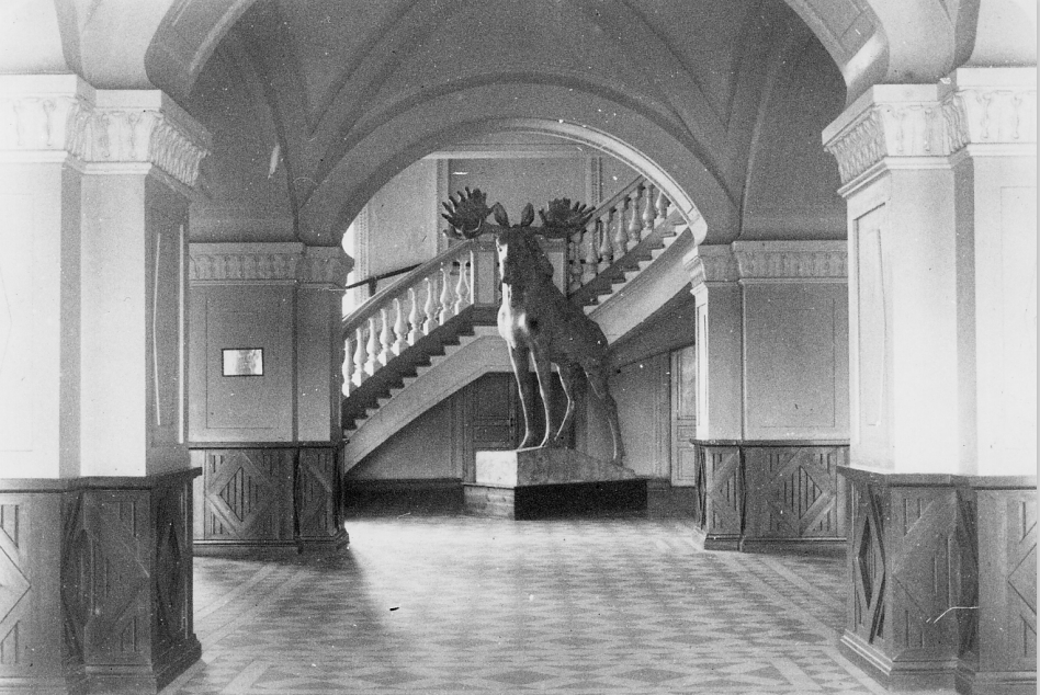 A black-and-white photo of the lobby of a museum building in which a staircase at the end of an arched hallway leads diagonally upwards from left to right. In front of the staircase is a large sculpture of an antlered bull elk standing on a plinth.