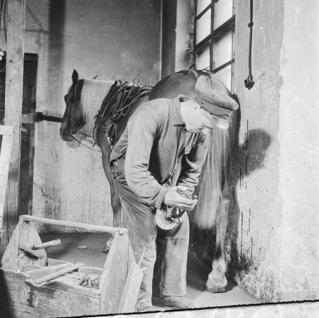 A farrier removing a horse’s shoe. In the foreground is a box containing farrier tools.