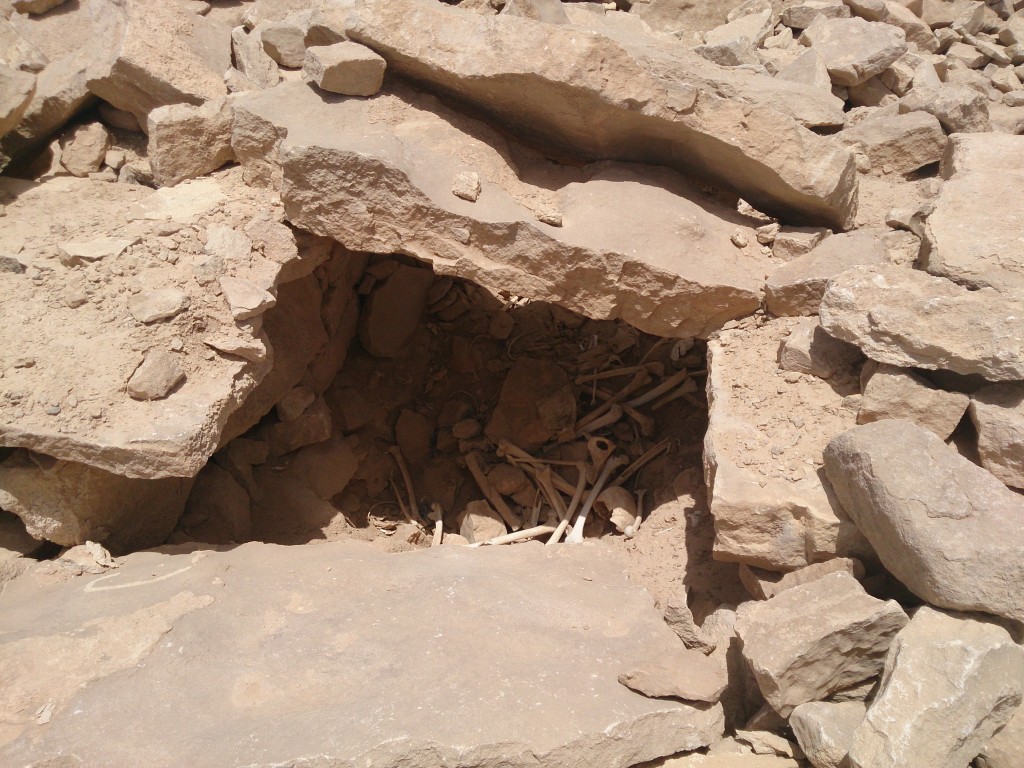 Qasr al-Mushaysh contained many graves that had been opened and, presumably, robbed.