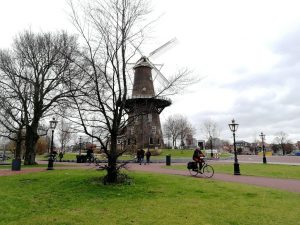Windmill in Leiden