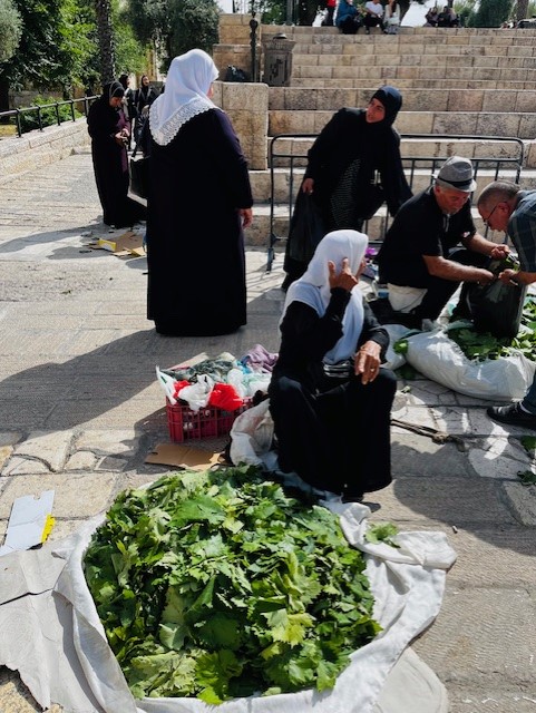 Women bringing fresh vine leaves, olives, and other products for sale at the open market of Damascus Gate.