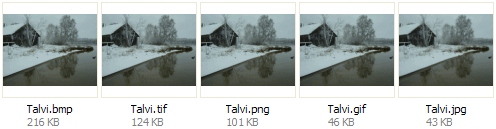 Sama kuva ja kuvan viemä tallennustila eri tiedostomuotoihin tallennettuna: bmp-tiedosto 216 KB, tif-tiedosto 124 KB, png-tiedosto 101 KB, gif-tiedosto 46 KB ja jpg-tiedosto 43 KB