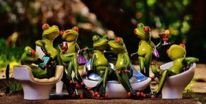 frogs-1364164_640
