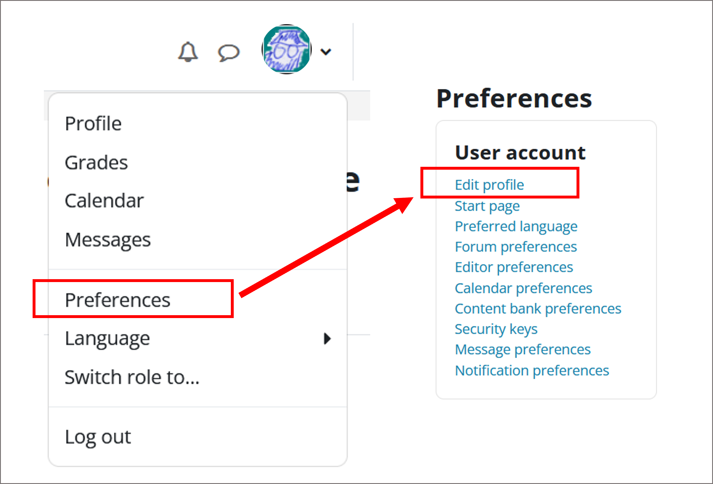 Picture: Preferences in Moodle