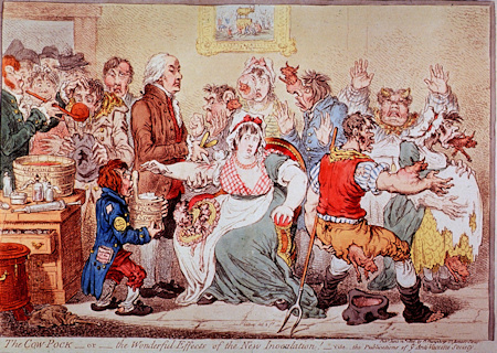 Lehmärokkorokotteen pelättiin yleisesti aiheuttavan lehmän ominaisuuksia rokotetuissa. Karikatyyri Edward Jenneristä rokottamassa. Kaiverrus ja etsaus, James Gillray, 1802. Kuva: National Library of Medicine.
