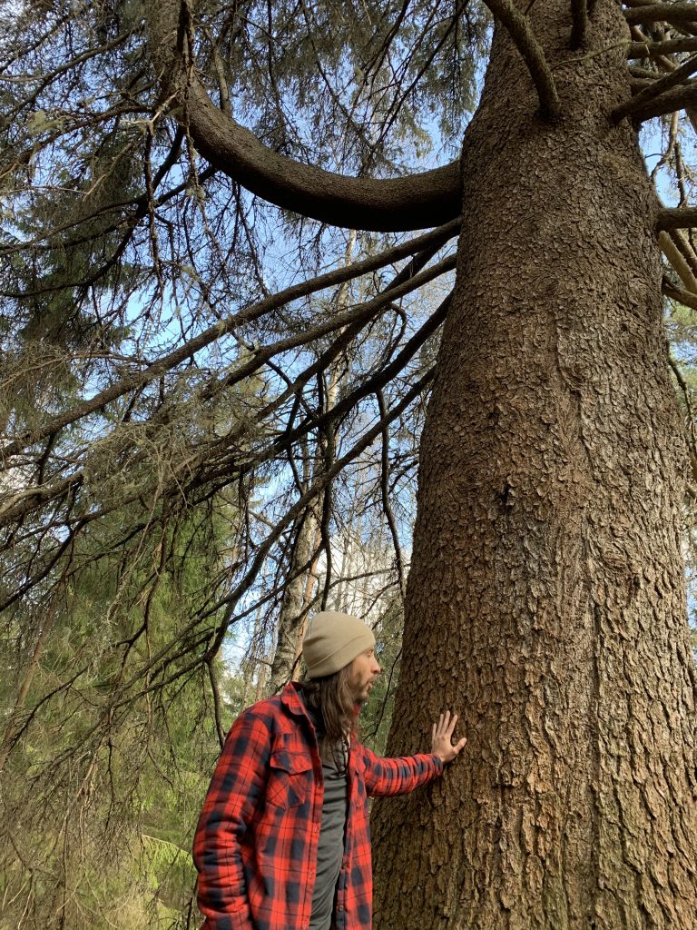 A person touching a tree trunk