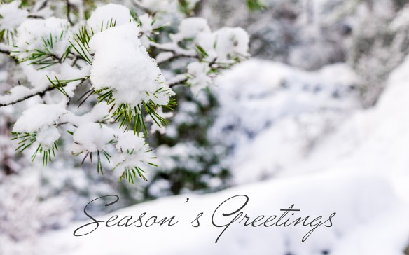 SeasonsGreetings2014_small